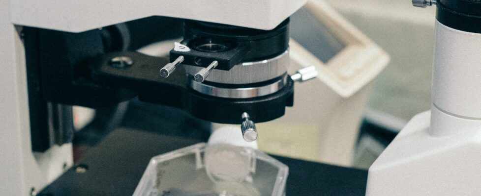 Lab